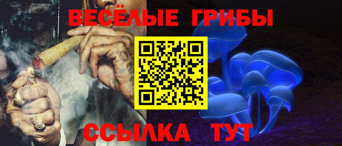 Псилоцибиновые грибы мицелий Полысаево