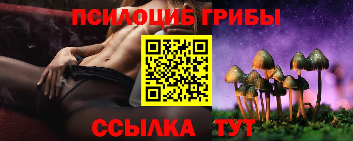 купить наркотик  Галлюциногенные грибы ЛСД  Вход с VPN  Галлюциногенные грибы Psilocybe  Полысаево 